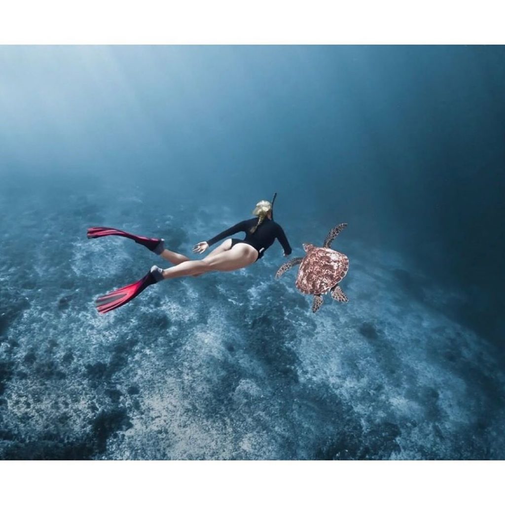 Papua Diving; Best Dive Site in Raja Ampat